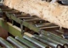 В Украине могут обанкротиться несколько деревообрабатывающих предприятий